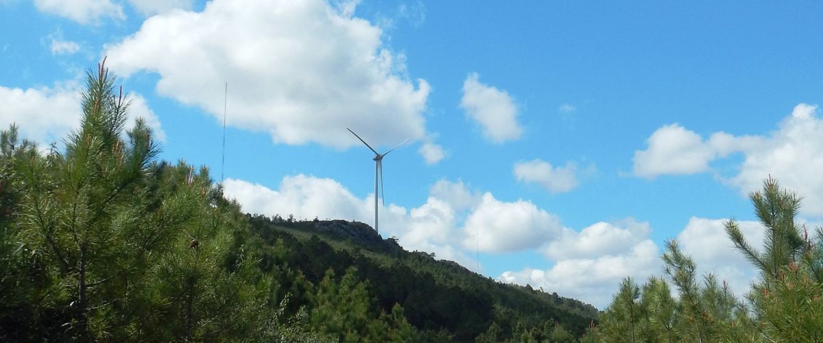 Wind turbines are particularly noisy in the wake. An ENERCON wind turbine on a hill served as a test system.