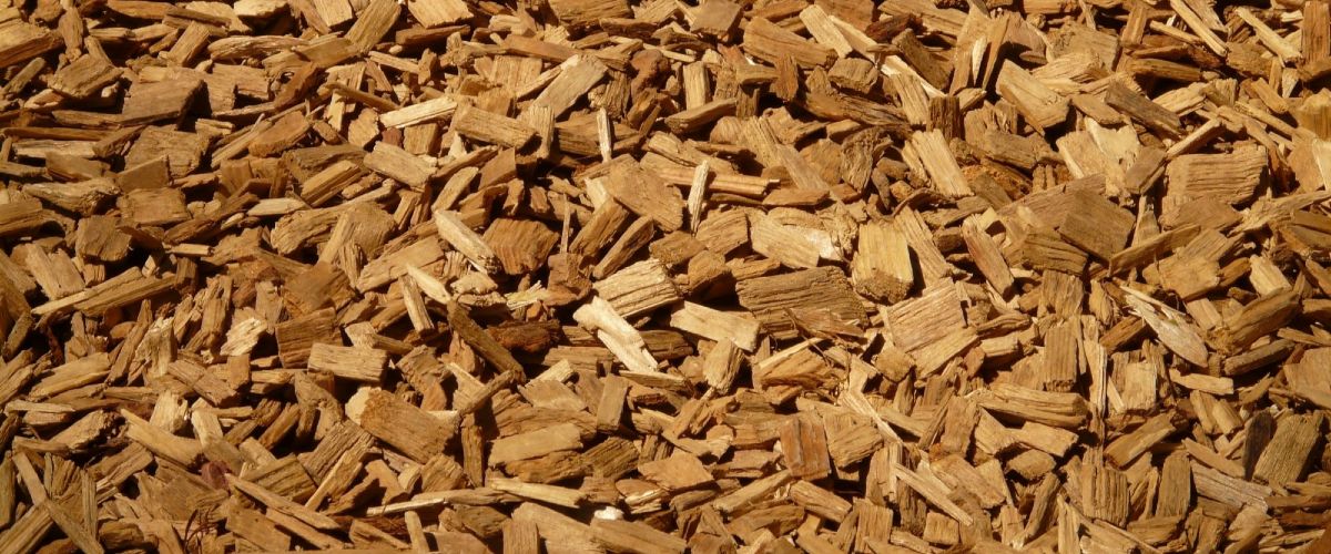 Biomass can be gasified in biomass gasification systems that are coupled with high-temperature fuel cells (SOFC).