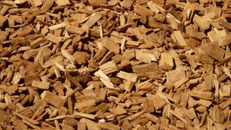 Biomass can be gasified in biomass gasification systems that are coupled with high-temperature fuel cells (SOFC).