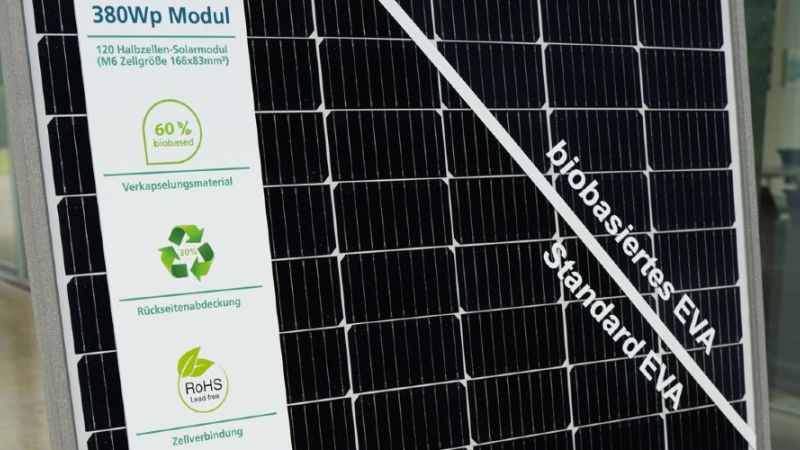 Das 380 Watt-Solarmodul entstand als „Bio-Modul-Prototyp“ innerhalb des Projekts „E2 – E-Quadrat. Erneuerbare Energien aus Erneuerbaren Rohstoffen“.