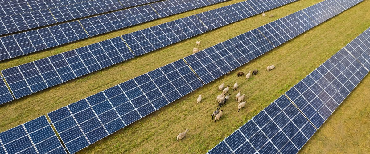 Agri-PV ist ein wichtiger Einsatz- und Entwicklungsbereich der Photovoltaik, den der Trends-Report für das Jahr 2023 herausstellt.