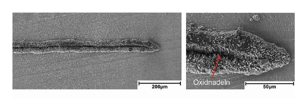 Mit Rasterelektronenmikroskop erstellte Vergrößerung der Rissspitze beziehungsweise des rissspitzennahen Bereichs an der Oberfläche der nicht aufgezogenen C (T)-Probe des Schwellenwertversuchs bei 600 Grad Celsius, R = 0,1, f = 20 Hertz unter Wasserdampfatmosphäre.