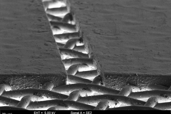 The photo shows a scanning electron microscope image of a fine-line sieve channel.